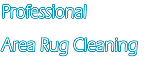 professional cleaning service