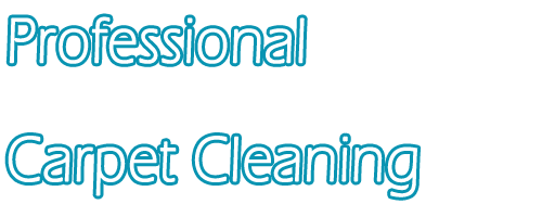 professional cleaning service
