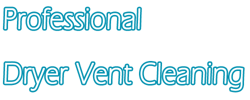 professional cleaning service