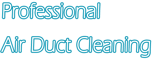 professional cleaning service